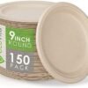 100% Compostable Paper Plates [9 in.]